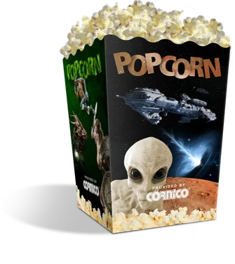 POPCORNiCO Cutie pliabilă medie Popcorn EROI 3,0 L 250 buc